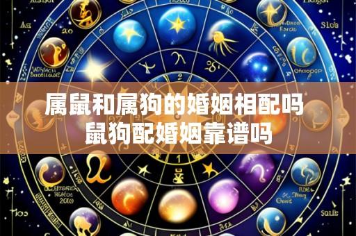 属鼠和属狗的婚姻相配吗 鼠狗配婚姻靠谱吗