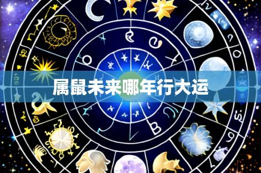属鼠未来哪年行大运