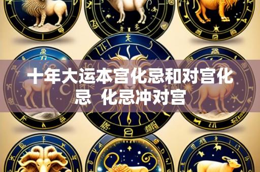 十年大运本宫化忌和对宫化忌  化忌冲对宫