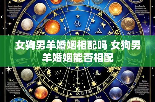 女狗男羊婚姻相配吗 女狗男羊婚姻能否相配