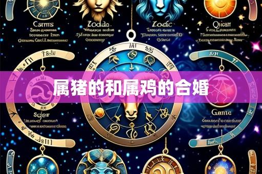 属猪的和属鸡的合婚