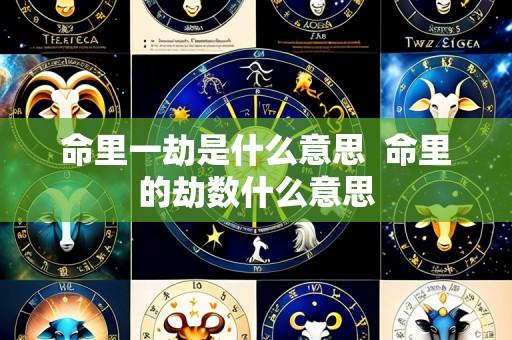 命里一劫是什么意思  命里的劫数什么意思