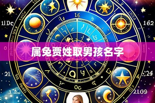 属兔贾姓取男孩名字