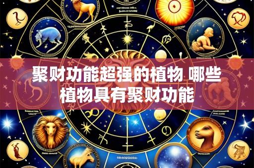 聚财功能超强的植物 哪些植物具有聚财功能