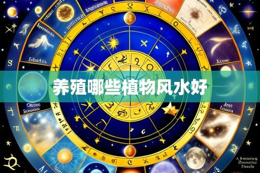 养殖哪些植物风水好