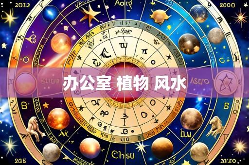 办公室 植物 风水