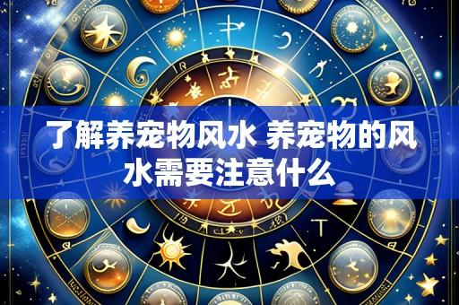 了解养宠物风水 养宠物的风水需要注意什么