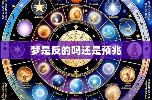 梦是反的吗还是预兆