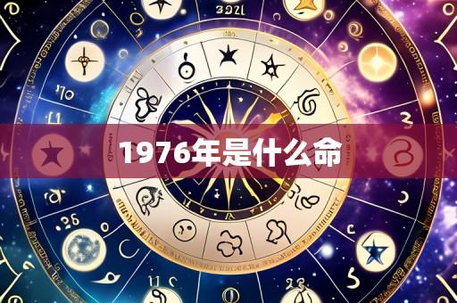 1976年是什么命