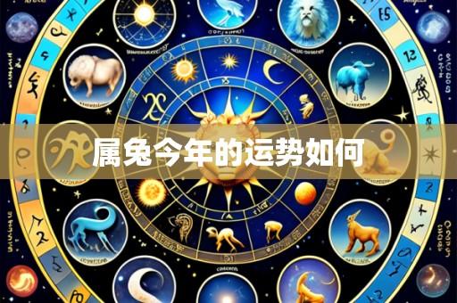 属兔今年的运势如何