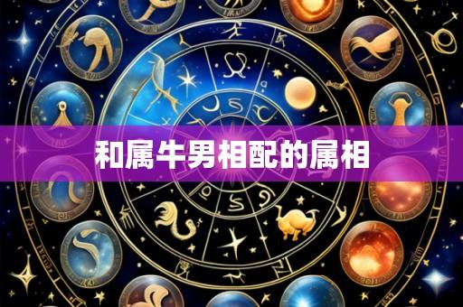 和属牛男相配的属相