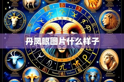 丹凤眼图片什么样子