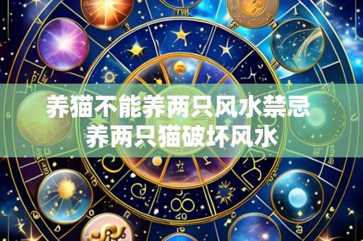 养猫不能养两只风水禁忌 养两只猫破坏风水