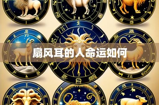 扇风耳的人命运如何