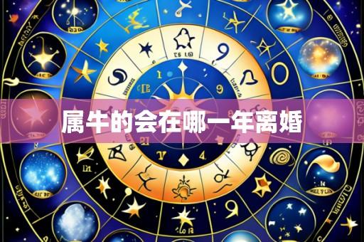 属牛的会在哪一年离婚