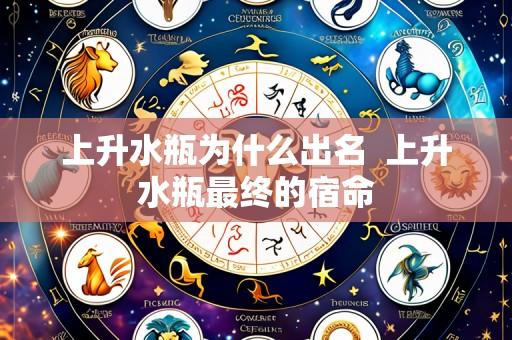 上升水瓶为什么出名 上升水瓶最终的宿命