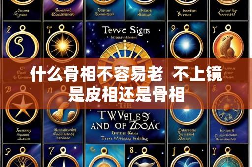 什么骨相不容易老 不上镜是皮相还是骨相