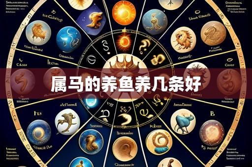 属马的养鱼养几条好