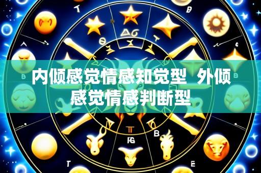 内倾感觉情感知觉型 外倾感觉情感判断型