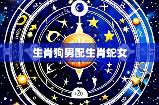 生肖狗男配生肖蛇女