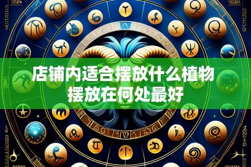 店铺内适合摆放什么植物 摆放在何处最好