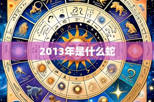 2013年是什么蛇