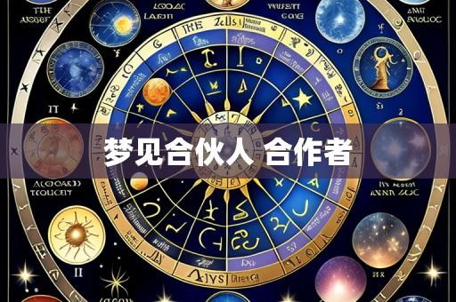 梦见合伙人 合作者