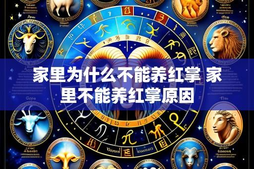 家里为什么不能养红掌 家里不能养红掌原因