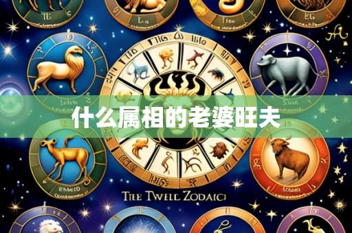 什么属相的老婆旺夫