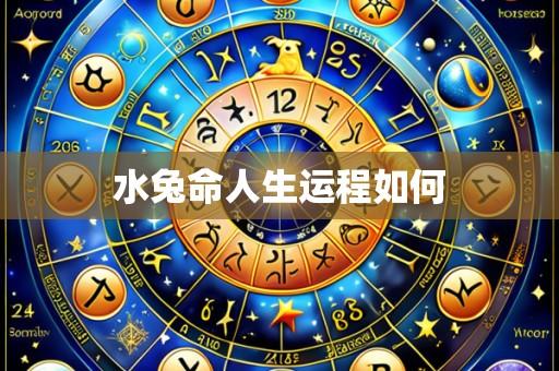 水兔命人生运程如何