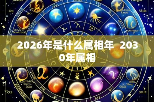 2026年是什么属相年 2030年属相