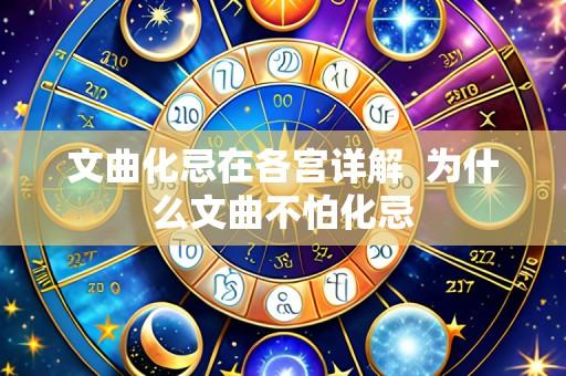文曲化忌在各宫详解  为什么文曲不怕化忌