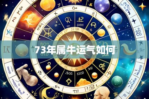 73年属牛运气如何