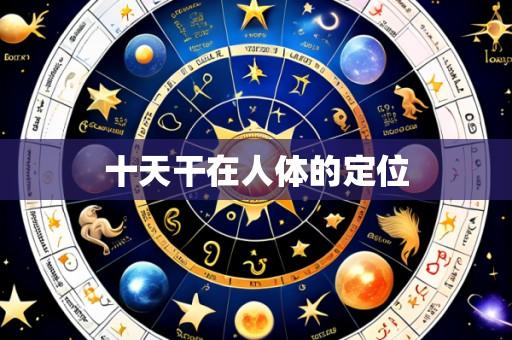 十天干在人体的定位