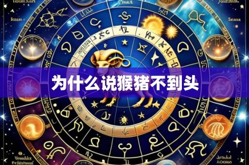 为什么说猴猪不到头