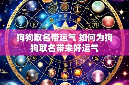 狗狗取名带运气 如何为狗狗取名带来好运气