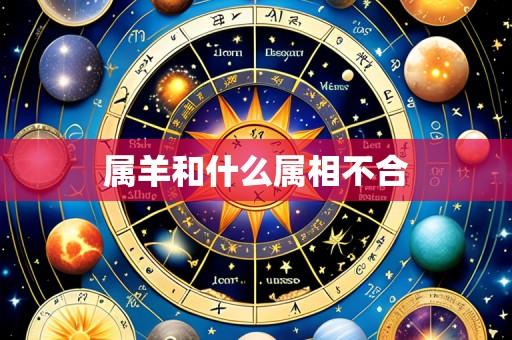 属羊和什么属相不合