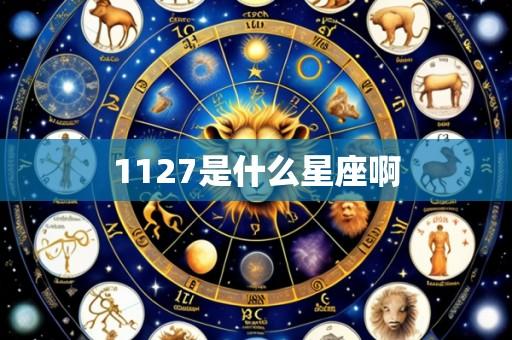 1127是什么星座啊