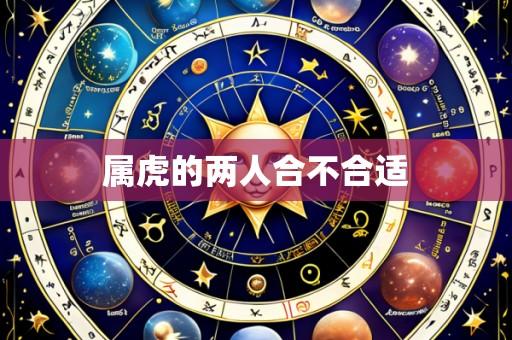 属虎的两人合不合适