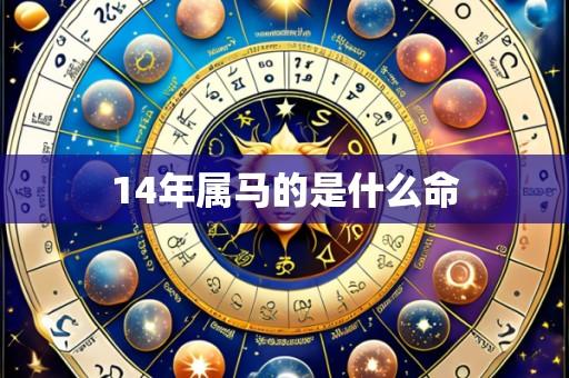 14年属马的是什么命