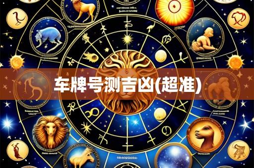 车牌号测吉凶(超准)