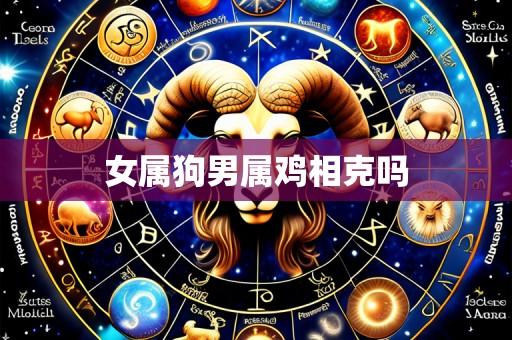 女属狗男属鸡相克吗