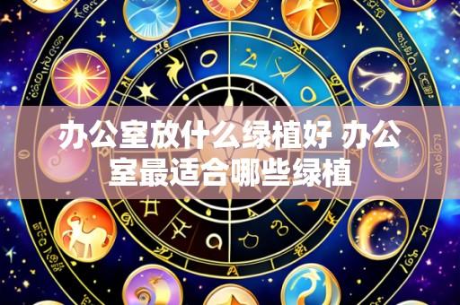 办公室放什么绿植好 办公室最适合哪些绿植