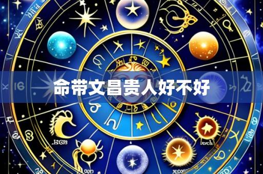 命带文昌贵人好不好