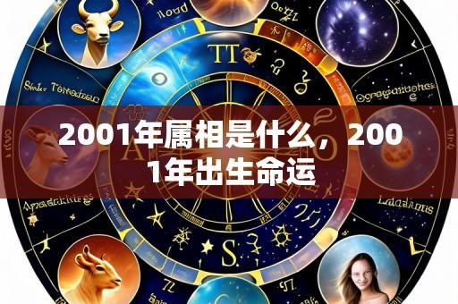 2001年属相是什么，2001年出生命运