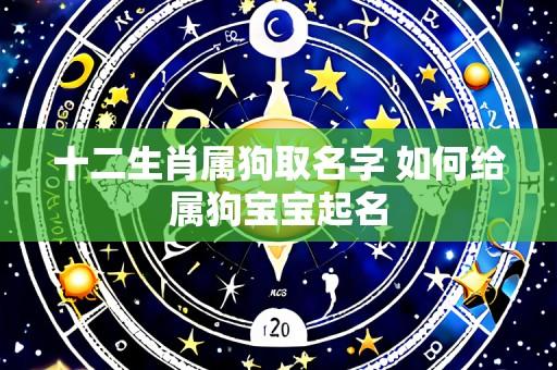 十二生肖属狗取名字 如何给属狗宝宝起名