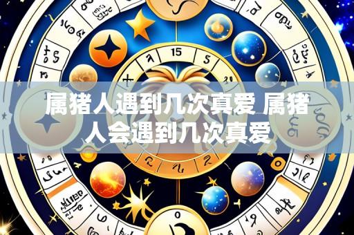 属猪人遇到几次真爱 属猪人会遇到几次真爱