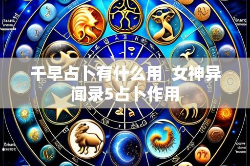 千早占卜有什么用 女神异闻录5占卜作用