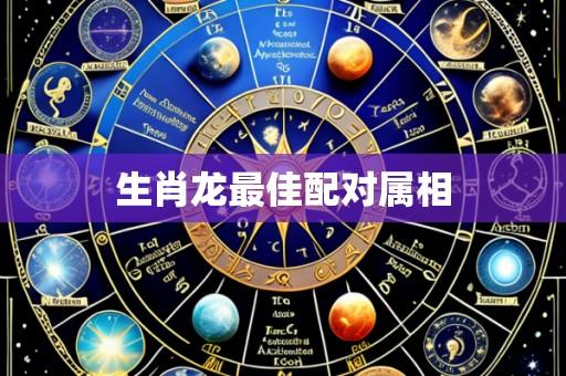 生肖龙最佳配对属相