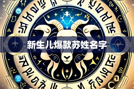 新生儿爆款苏姓名字